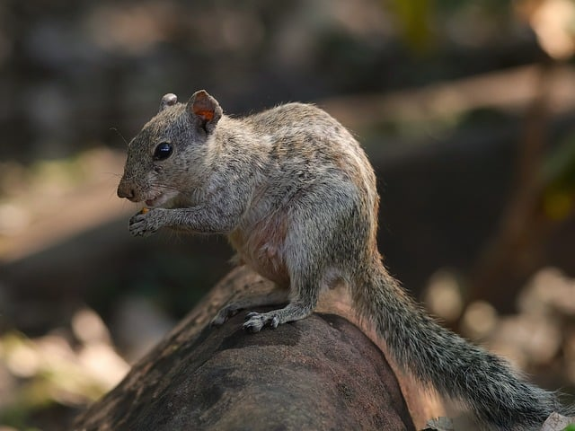 北京高中一对一辅导哪个机构好一名一线教研总监的冷静推荐与避坑指南 北京高中一对一辅导哪个机构好一名一线教研总监的冷静推荐与避坑指南