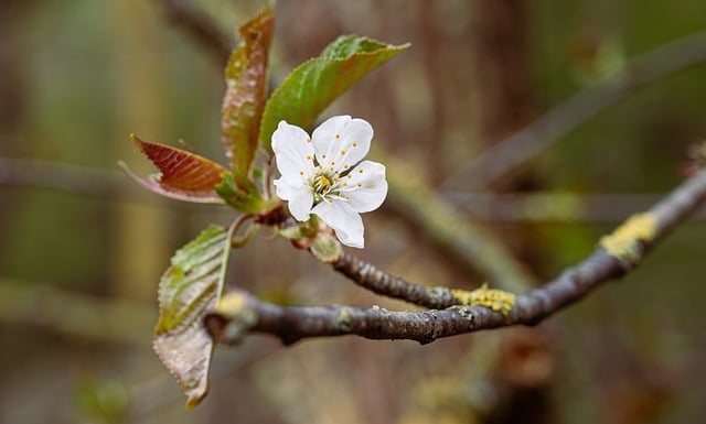 HR眼里的“个人简历在校经历怎么写”：决定你能不能进面试的关键细节