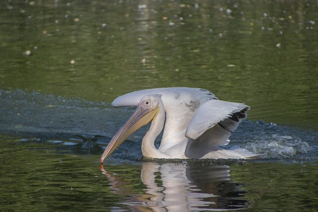 2025教师资格证报考条件新规深度解析：我在一线培训机构看到的“隐形门槛”