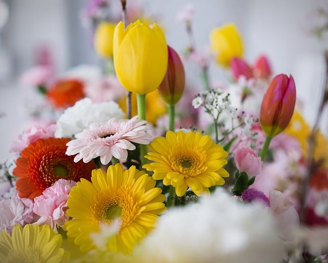 90%家长忽略的提分关键：初中语文阅读辅导训练大全这样用，成绩提升更稳