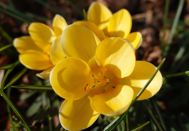 高中语文教师资格证报考条件深度拆解:从门槛到备考细节的真实一线观察 高中语文教师资格证报考条件深度拆解:从门槛到备考细节的真实一线观察