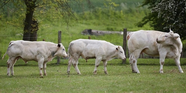 HR亲口说:在职教育简历如何填写,才不会被一句“空档期太多”刷掉 HR亲口说:在职教育简历如何填写,才不会被一句“空档期太多”刷掉
