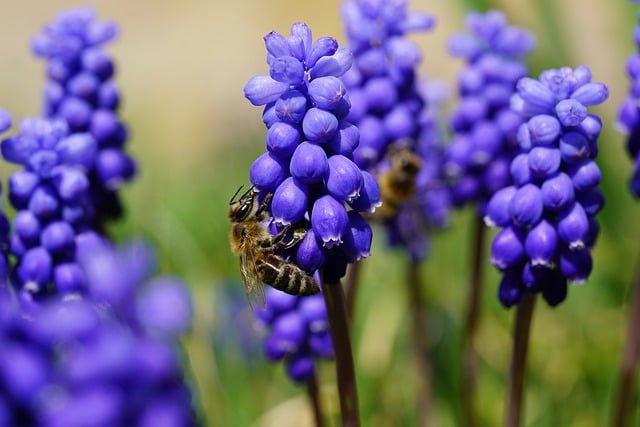找在职教师家教，为什么很多家长越急越容易选错人
