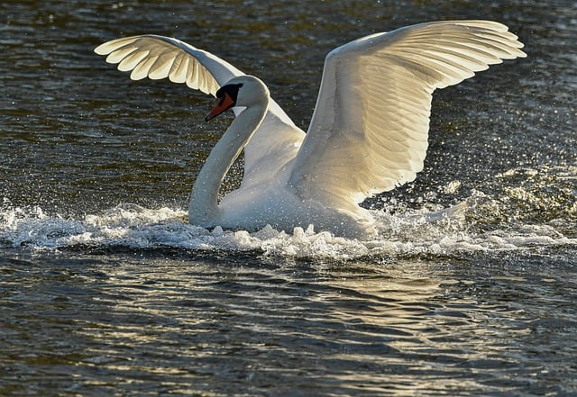 HR总监的真心话：简历的教育经历怎么写才不会被秒删